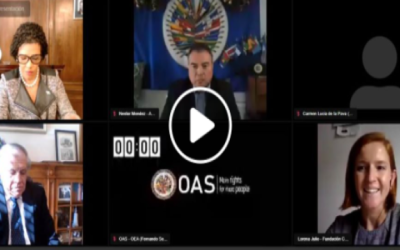 Our President Lorena Julio presented the OAS Guide on COVID-19 and Disability in an accessible format to the Permanent Council of the Organization of American States.