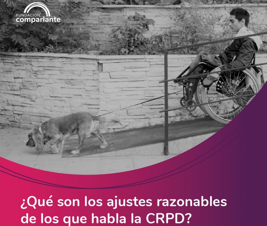 Image of young person with motor disability with guide dog, logo Fundación Comparlante.