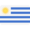 Uruguay's Flag